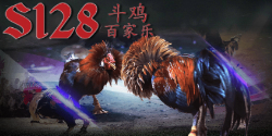 judi sabung ayam online uang asli s128